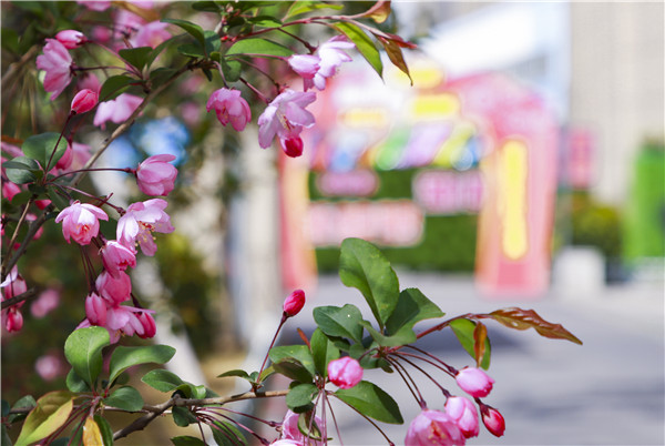 春暖花開，等你歸來——邀你云賞南新春景，以慰思念